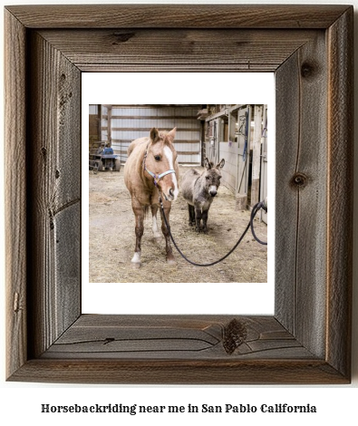 horseback riding near me in San Pablo, California